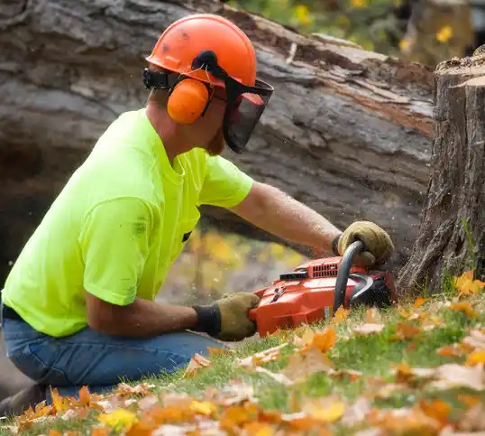 tree services Oberlin